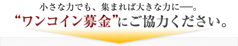 小さな力でも、集まれば大きな力に―。“ワンコイン募金”にご協力ください。